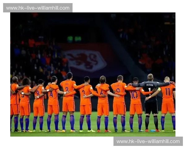 荷甲注册：零门槛入驻荷兰足球赛场的全程服务